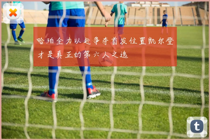 哈珀全力以赴争夺首发位置凯尔登才是真正的第六人之选